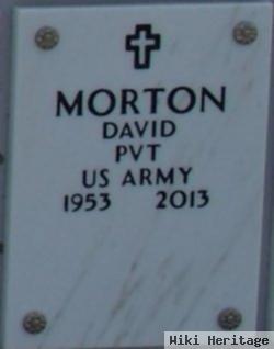 David Morton