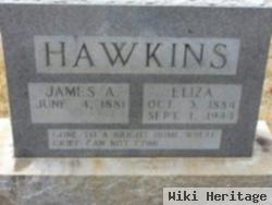 James A Hawkins