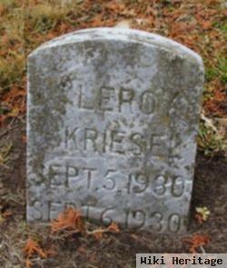 Leroy Kriesel