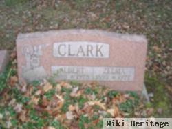 Albert Clark