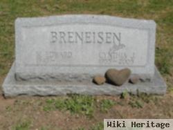 Cynthia Jean Stein Breneisen