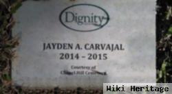 Jayden A. Carvajal