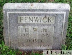 James Dominic Fenwick