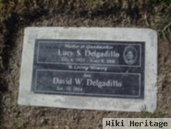 David W Delgadillo