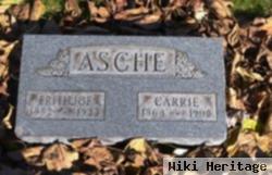 Carrie Erickson Asche