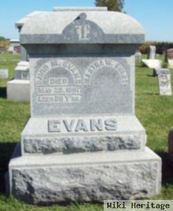 David M Evans