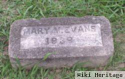 Mary M Evans