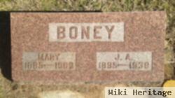 Mary A Boney