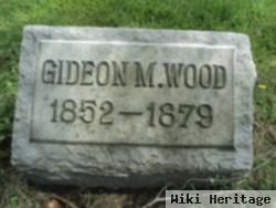 Gideon M Wood