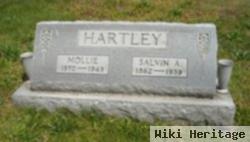 Mary "mollie" Brown Hartley