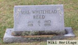 Mae Whitehead Reed