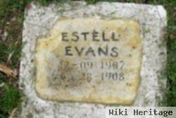 Estel Evans