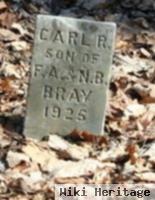 Carl R. Bray