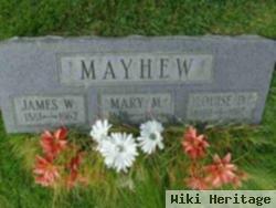 James W Mayhew