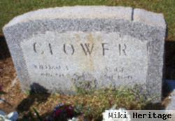 William Lafayette Clower