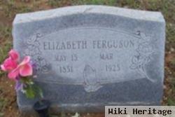 Adaline Elizabeth "lizzie" Mills Ferguson