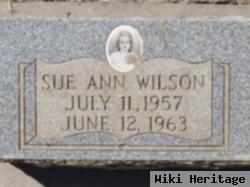 Sue Ann Wilson