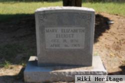 Mary Elizabeth Doak Elliott