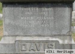 Maria Pitcher Davis