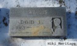 David J. Wallis