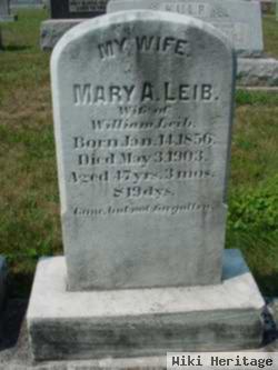 Mary Ann Pancake Leib