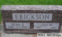 Levi M Erickson