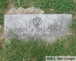 Jesus A. Delgado