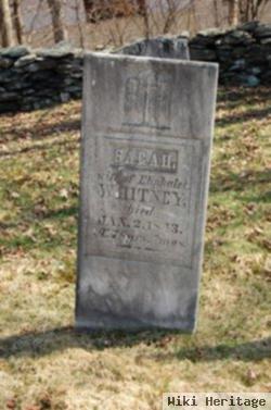 Sarah Tenney Whitney