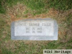 Jewell Brewer Collie