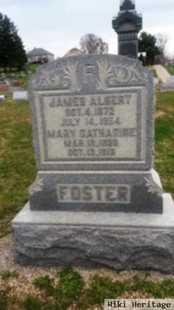 James Albert Foster