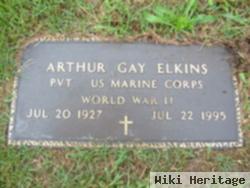 Arthur Gay Elkins