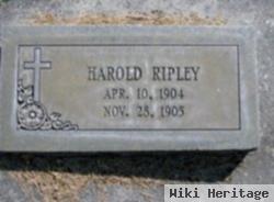 Harold Ripley