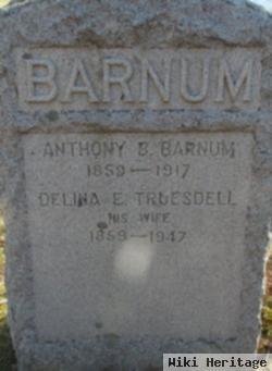 Anthony Baxter Barnum