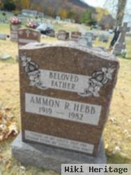 Ammon R Hebb