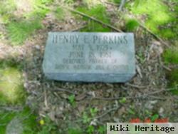 Henry E. Perkins