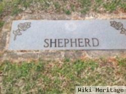 David Hill Shepherd