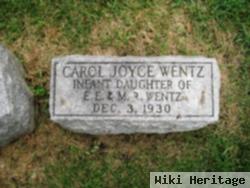 Carol Joyce Wentz