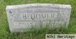 Rachel F Broody Bloomer