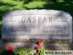 Ignatius Gaspar