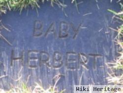 Baby Herbert