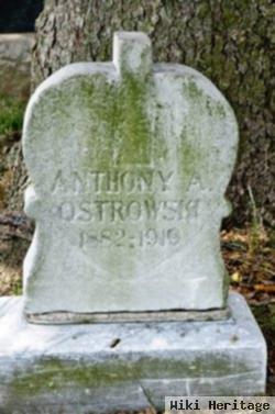 Anthony A Ostrowski