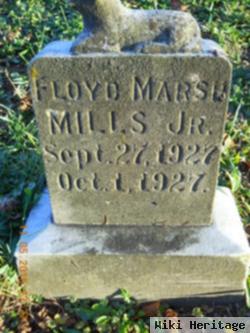 Floyd Marsh Mills, Jr