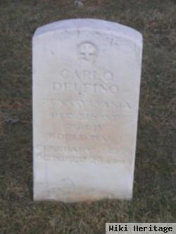 Carlo Delfino