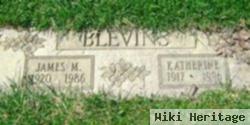 James Melvin "jim" Blevins