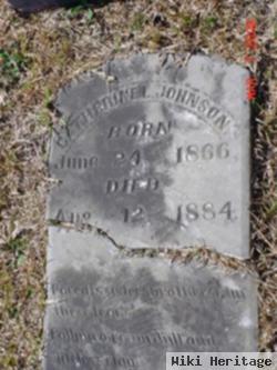 Catherine L. Johnson