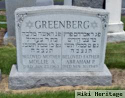 Abraham Paul Greenberg