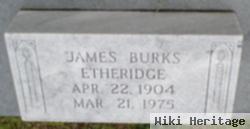 James Burks Etheridge