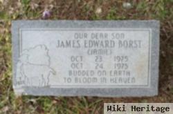 James Edward "jamie" Borst