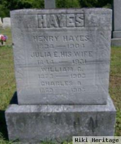 Julia E. Hayes