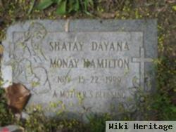 Shatay Dayana Monay Hamilton